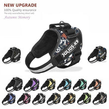 Load image into Gallery viewer, New Dog Harness Vest For Small Large Big JULIUS K9 Harness Grow Training Pet Safety Cat Waterproof Nylon Arneses