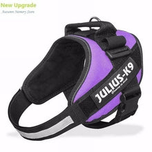 Load image into Gallery viewer, New Dog Harness Vest For Small Large Big JULIUS K9 Harness Grow Training Pet Safety Cat Waterproof Nylon Arneses