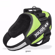 Load image into Gallery viewer, New Dog Harness Vest For Small Large Big JULIUS K9 Harness Grow Training Pet Safety Cat Waterproof Nylon Arneses