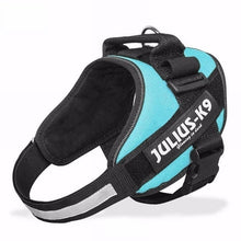Load image into Gallery viewer, New Dog Harness Vest For Small Large Big JULIUS K9 Harness Grow Training Pet Safety Cat Waterproof Nylon Arneses