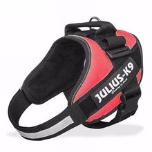 Load image into Gallery viewer, New Dog Harness Vest For Small Large Big JULIUS K9 Harness Grow Training Pet Safety Cat Waterproof Nylon Arneses