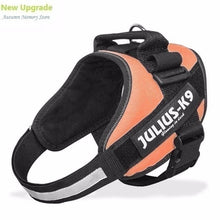 Load image into Gallery viewer, New Dog Harness Vest For Small Large Big JULIUS K9 Harness Grow Training Pet Safety Cat Waterproof Nylon Arneses